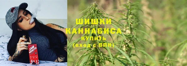 сатива Балахна