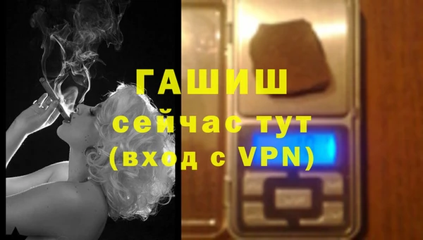 сатива Балахна
