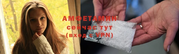 сатива Балахна