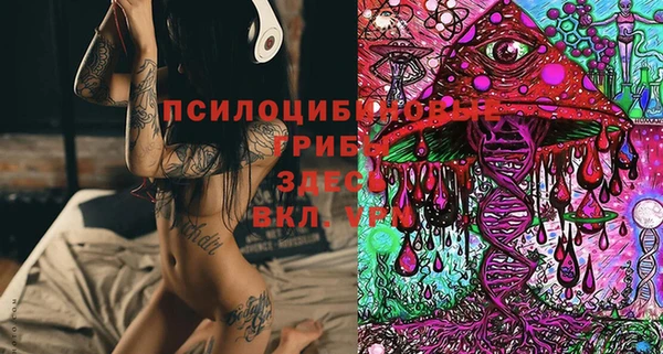 скорость Баксан