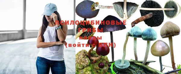 сатива Балахна
